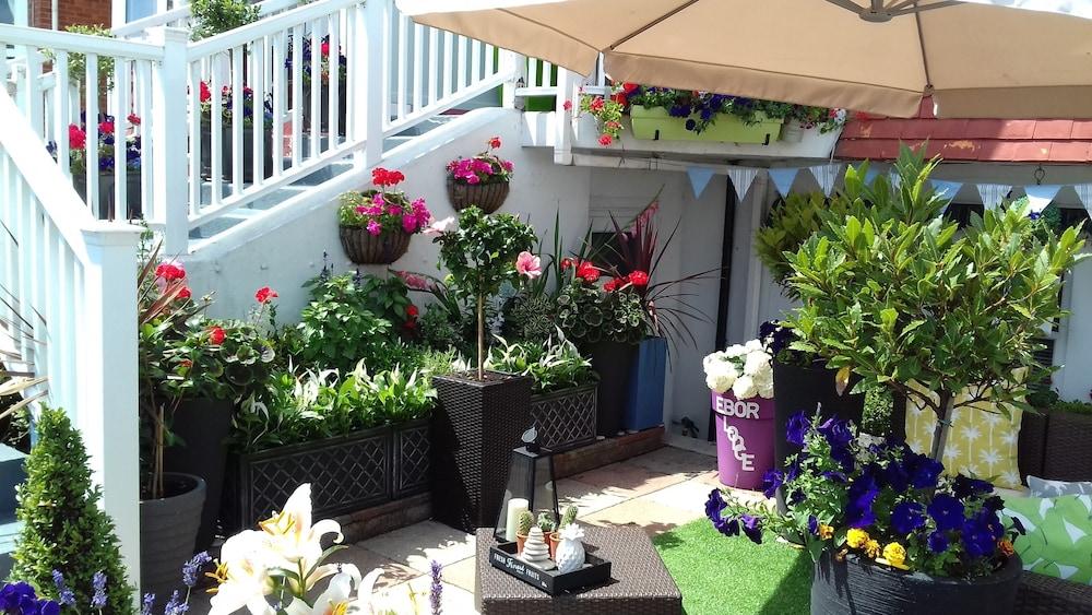 Ebor Lodge Eastbourne Eksteriør billede